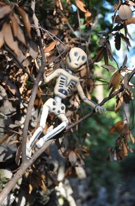 Puppet scheletro innamorato